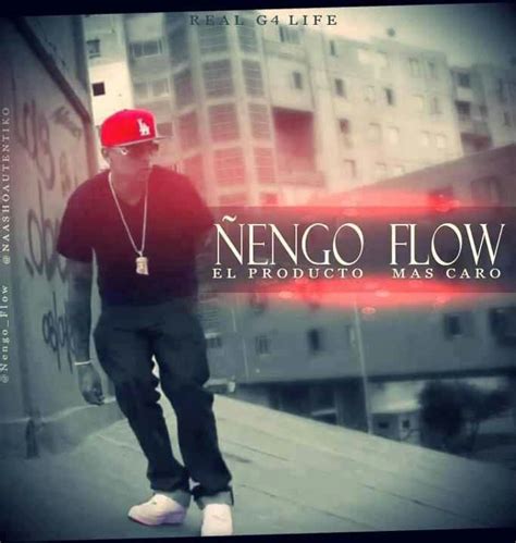 Nengo Flow