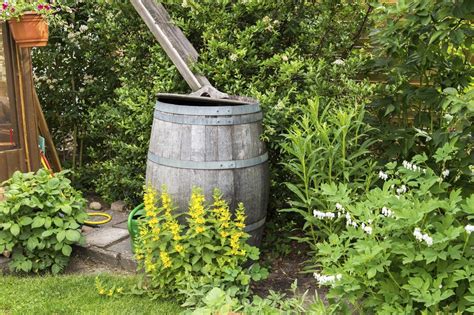 Regenwasser Sammeln Und Nutzen Umweltfreundlich Und Sparsam Im Garten