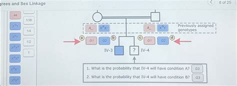 Solved Grees And Sex Linkage8 Of 25 Chegg