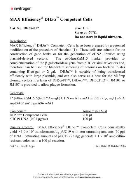 Invitrogen Max Efficiency DH5a Competent Cells