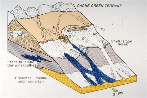 Alluvial Fan Diagram Delta