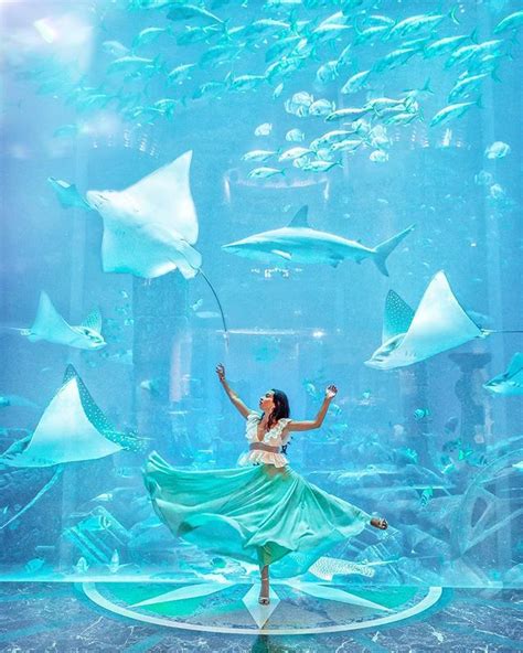 Experience The Magic Of Atlantis