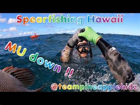 Spearfishing Hawaii Dive Sesh At LANIKAI MU Catch And Cook YouTube