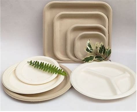 5 Best Eco Friendly Disposable Plates GangXuan