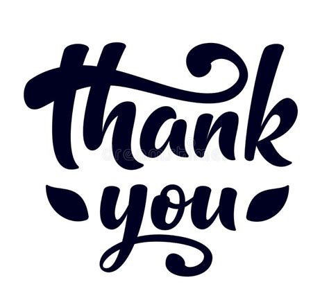 Thank You Vector Sign Hand Drawn Brush Lettering Thank You