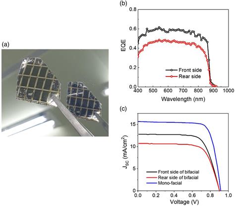 A Photograph Of The Fabricated Gaas Bifacial Thin‐film Solar Cell On A