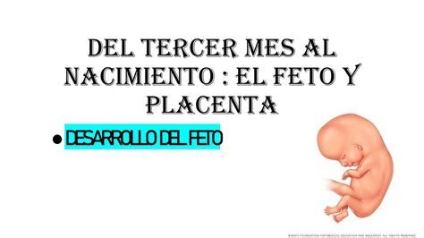 Del Tercer Mes Al Nacimiento El Feto Y Placenta Salome Alban UDocz