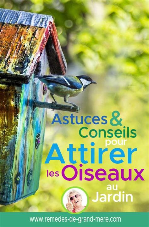 Voici Comment Attirer Les Oiseaux Dans Son Jardin Conseils Et Astuces