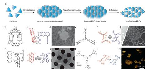 Recent Advances In Single Crystalline Two Dimensional Polymers