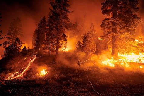 As melhores imagens da National Geographic do século XXI