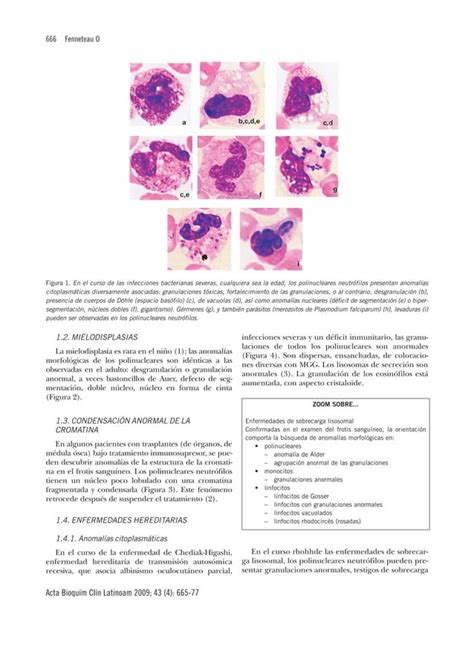 Trastornos De Los Leucocitos Inportante Pdf