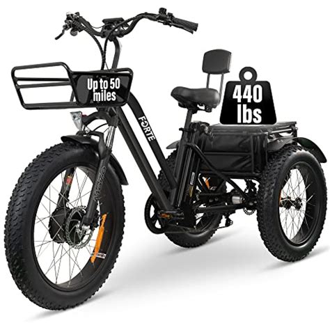 5 Best 3 Wheel Electric Bikes For Seniors A Complete Guide To