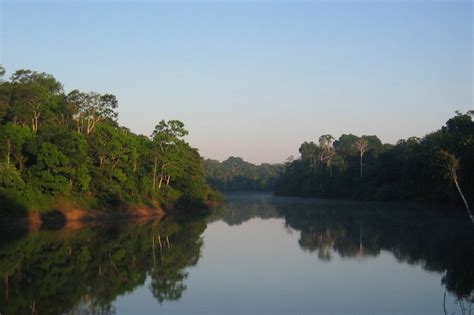 36 Excellent Photos Of Colombia Amazon Rainforest The Best Wildlife