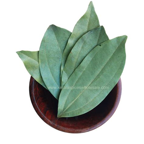 Cinnamon Leaves Online - Kerala Spices Wholesale