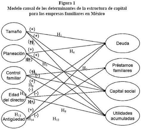 Determinantes de la estructura de capital en la pequeña y mediana