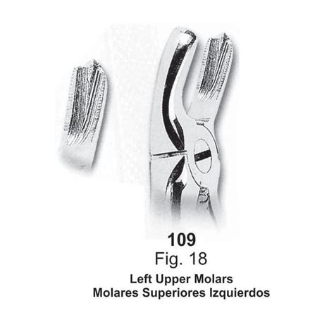 Forceps De Extracci N Forma Inglesa Molares Superiores Izquierdos