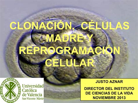 Clonación Células Madre Y Reprogramación Celular Ppt