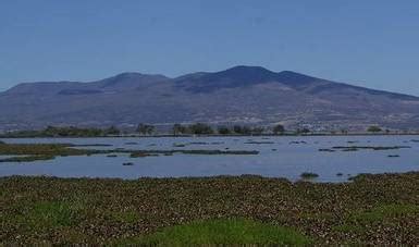 Establece Sader épocas y zonas de veda para captura en Laguna de