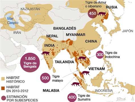 Dónde viven los tigres Hábitat y distribución