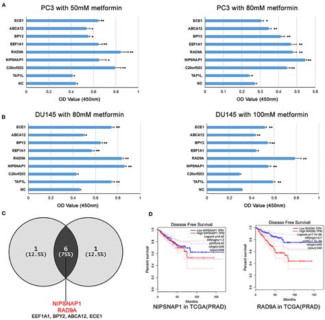 Frontiers Genome Scale Crispr Cas Transcriptional Activation