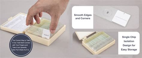 20 Slides Of Biology And Pathology Prepared Microbiological Bacterial