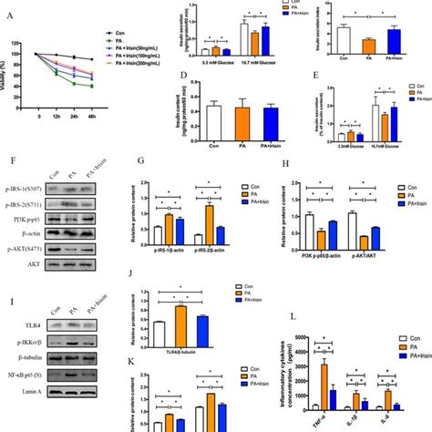 Chronic Ffa Significantly Inhibits Pi3k Akt Foxo1 Insulin Signaling Download Scientific Diagram