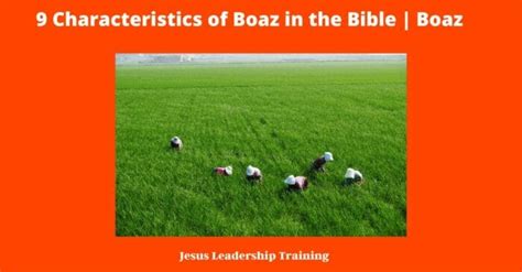 9 Characteristics of Boaz in the Bible | Boaz