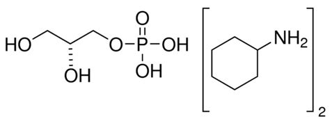 Glycerol Phosphate