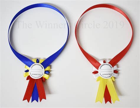 Deluxe Grand And Reserve Champion Model Horse Show Sashes For Etsy