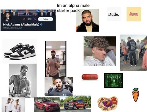 Im An Alpha Male” Starter Pack Rstarterpacks