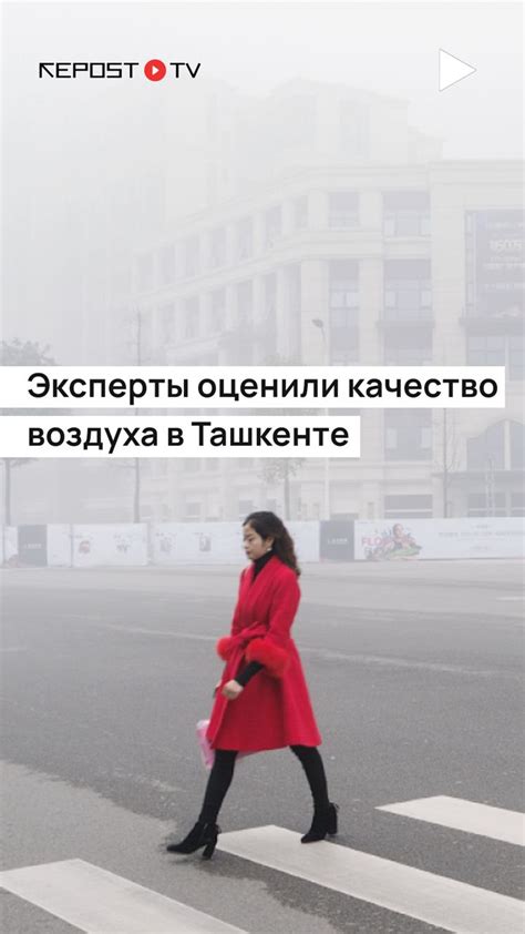 Срочные новости Узбекистана: Repost.uz