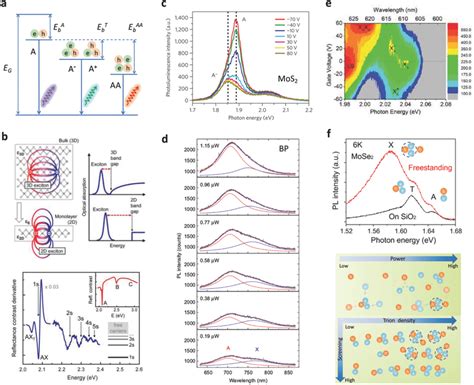 Binding Energies Of The Many‐body Complexes A Illustration Of The Download Scientific Diagram