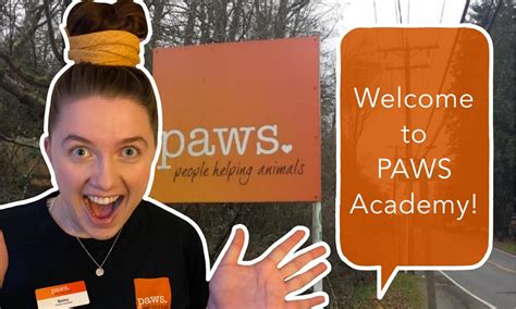 Paws Academy Bonus Paws