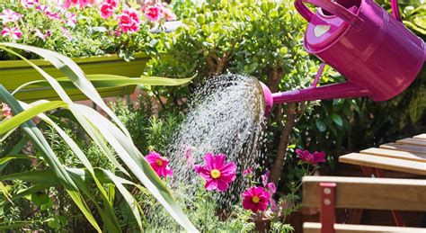 Comment Bien Arroser Ses Plantes Au Printemps Mon Jardin Ma Maison