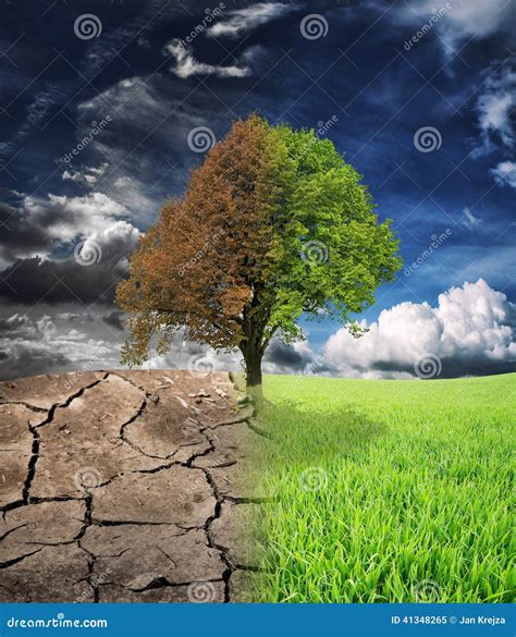 Ecology Landscape Stock Image Image Of Horizon Environment 41348265