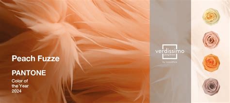 Peach Fuzz La Couleur Pantone Verdissimo