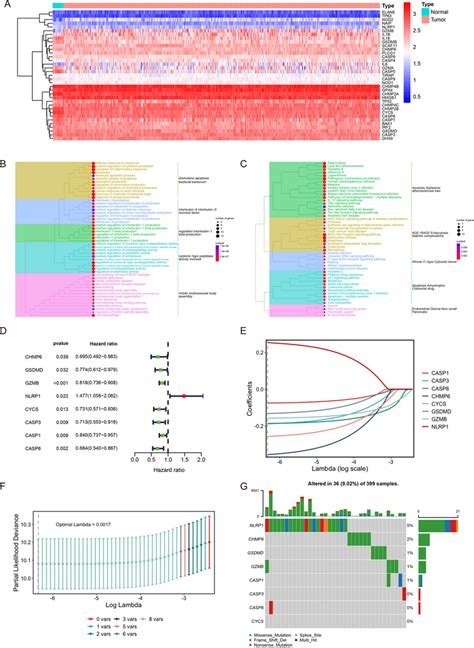 Construction Of Pyroptosis Related Risk Model A 35 Degs Between Crc