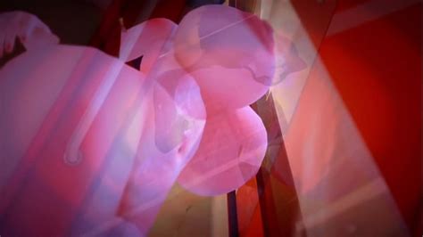 Koikatsu Videos XVIDEOS