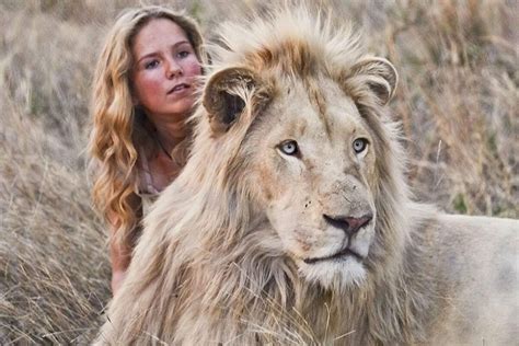 Сколько в мире львов, и почему лев крупнее тигра: crazy_zoologist ...