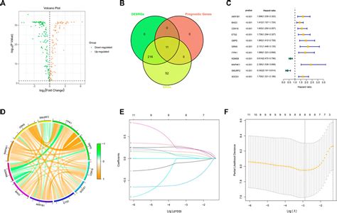 Frontiers Comprehensive Analysis For Cellular Senescence Related