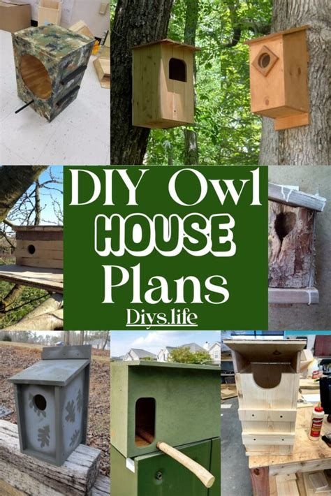 Diy Owl House Plans To Attract Birds Diys