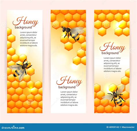 Bee Banners Vertical Stock Vector Illustration Of Layout 40959142