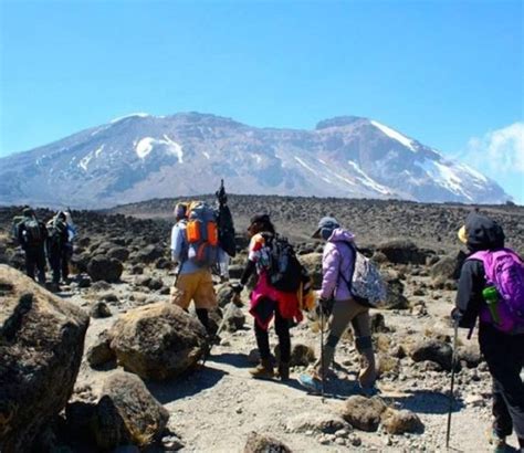 Jours D Ascension Du Kilimandjaro Par La Route De Rongai Getyourguide