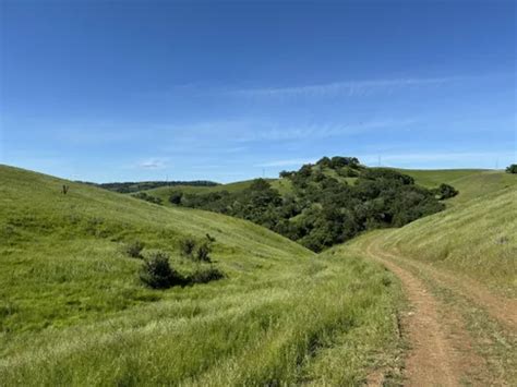 Best Historic Site Trails In John Muir National Historic Site AllTrails