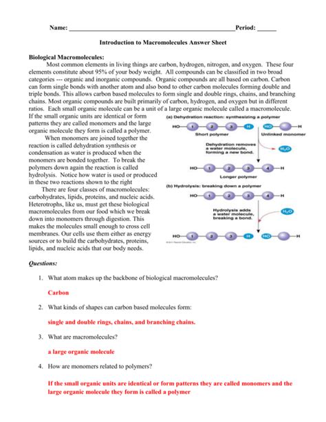 Macromolecule Worksheet Answer Key Doc