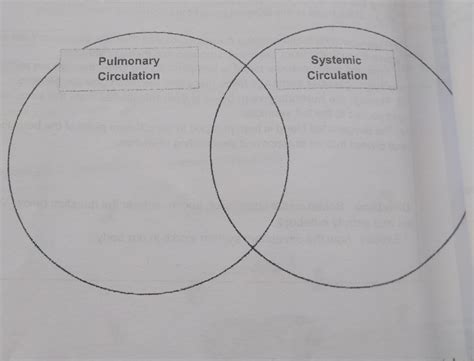 Using A Venn Diagram State The Difference Between Pulmonary And