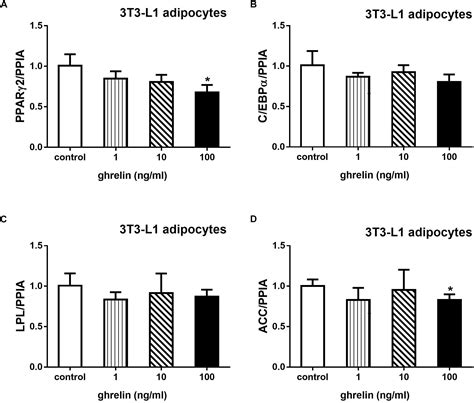 Frontiers Ghrelin Promotes Proliferation And Inhibits Differentiation