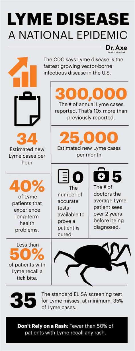 Lyme Disease Symptoms Causes And Facts Dr Axe