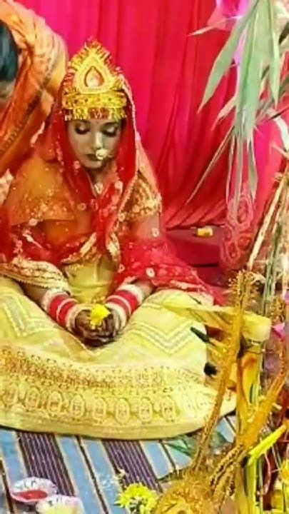 तेजा जनि आखि कै पुतरिया ये बाबा Dulhan Status Song Trending Short Video Youtube