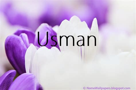 Usman Name Wallpapers Usman Name Wallpaper Urdu Name Meaning Name